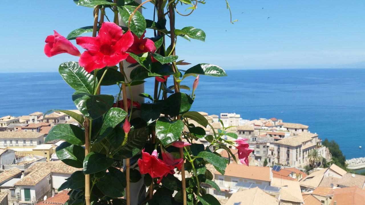 Il Terrazzo Su Pizzo Daire Dış mekan fotoğraf